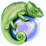 logo kameleon 2024 trans